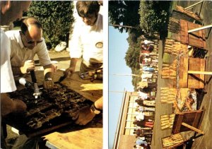 2~4X6 Postcards Essex, CT Connecticut ROTARY CLUB'S ANNUAL SHAD BAKE Fish Cook