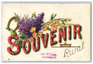 1909 Souvenir From Coal Valley Illinois IL Posted Embossed Flowers View Postcard