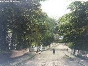 Milford Road Newtown Powys Children Standing by Gates Antique Postcard 1906