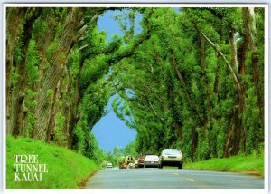 c1980s Kauai, HI Tree Tunnel Road to Poipu Beach Lush Canopy Chrome 4x6 PC M17