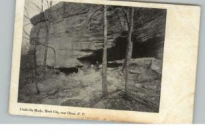 OLEAN NY Rock City c1910 Postcard