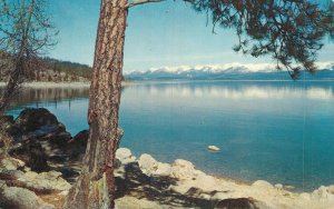 USA Flathead Lake Montana Vintage Postcard 07.31