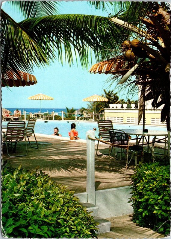 Poolside at Divi Divi Beach Hotel Aruba NA Postcard