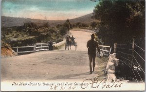 South Africa The New Road to Walmer Near Port Elizabeth Vintage Postcard C060