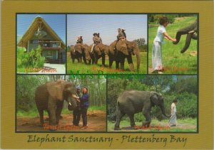 South Africa Postcard - Elephant Sanctuary, Plettenberg Bay   RR11784