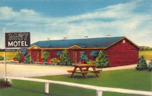 Linen Postcard M-37 Motel in Newaygo, Michigan~118684