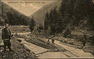 Yasinya Korosmezo Ukraine Lumber Logging on River c1910 Postcard