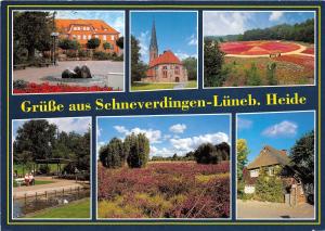 BG13033 schneverdingen luneburger heide   germany