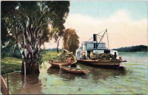 South Australia View on River Murray Ship Boats Govt Photolitho Postcard G80