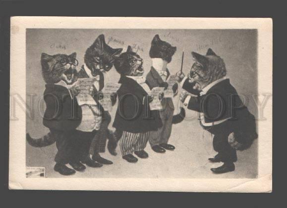 3086470 Dressed CAT Opera by THIELE vintage PHOTO Russia RARE