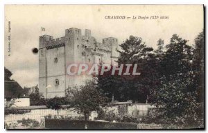 Old Postcard Chambois Le Donjon