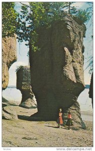 The Rocks, Hopewell Cape,  N.B., Canada,  40-60s