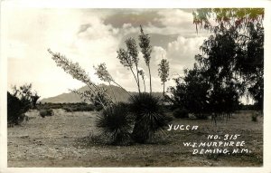 c1940 RPPC Postcard; Yucca, Deming NM, WJ Murphree No. 315, Posted