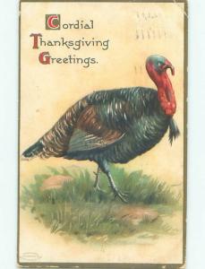 Divided-Back THANKSGIVING SCENE Great Postcard AA0617