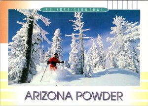 Flagstaff, AZ Arizona  SNOWBOWL SKI RESORT Skier In Powder  SKIING  4X6 Postcard