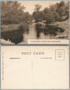 STEVENSVILLE N.Y. SWAN LAKE ANTIQUE POSTCARD