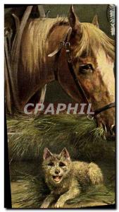 Old Postcard Equestrian Horse Riding Dog