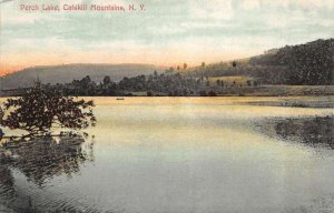 Catskill Mountains New York Perch Lake Scenic View Vintage Postcard AA110648