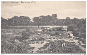 Tunbridge Wells , Kent, England, 1900-10s ; Rusthall Common
