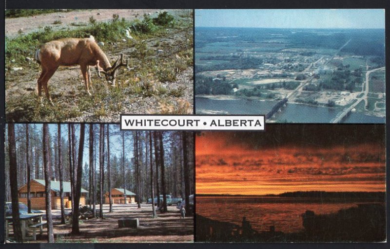 Alberta MultiView of WHITECOURT Where even the Rivers Meet - Chrome 1950s-1970s