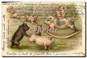 Postcard Old Pig Pig