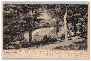 1905 View Opposite Fair Grounds Springfield Vermont VT Posted Antique Postcard