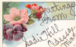C85/ Odessa Sadie Hill Minnesota Mn Postcard c1910 Glitter Greetings from