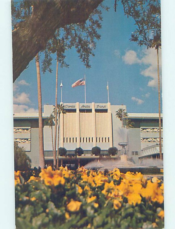 Chrome HORSE RACING SCENE Arcadia - Near Pasadena & Los Angeles CA AG5404