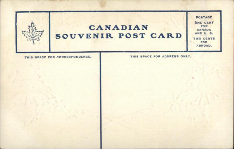 Digby Nova Scotia Wild Rose Border From Hill-Top c1910 Postcard