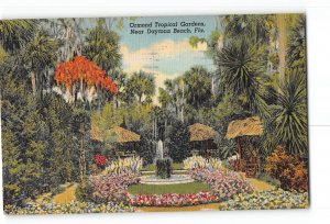 Near Daytona Beach Florida FL Postcard 1941 Ormond Tropical Gardens