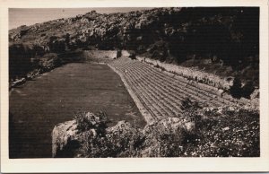 Greece Delphi Stadium Vintage RPPC C110