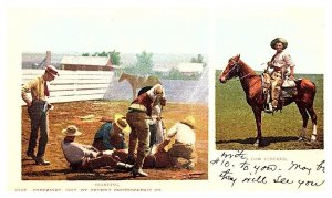 Cow Punching and Branding