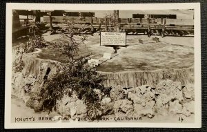 Mint Vintage Postcard Knott's Berry Farm Redwood Tree RPPC