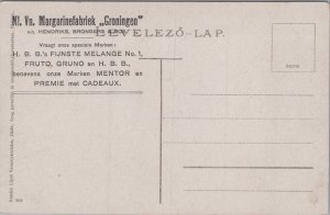 Czech Republic Bad Pöstyén fürdö Vintage Postcard C386