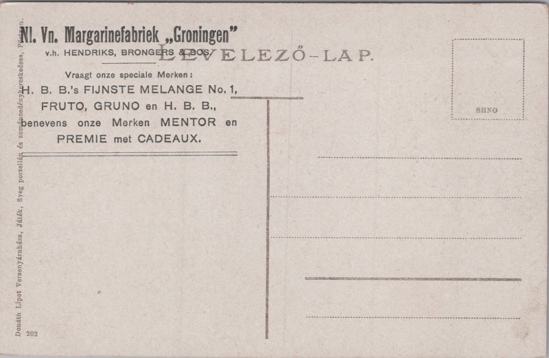 Czech Republic Bad Pöstyén fürdö Vintage Postcard C386