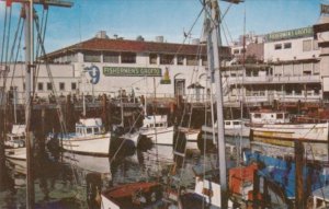 California San Francisco Fishermen's Grotto