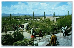 1960 View From The Remada Porch Arizona Sonora Desert Museum Tucson AR Postcard