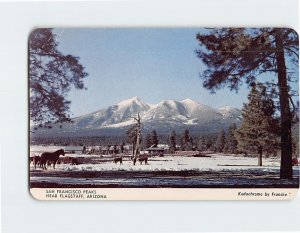 Postcard San Francsico Peaks, Arizona