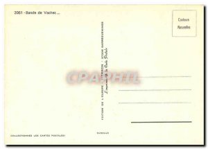 Postcard Modern Band Cows