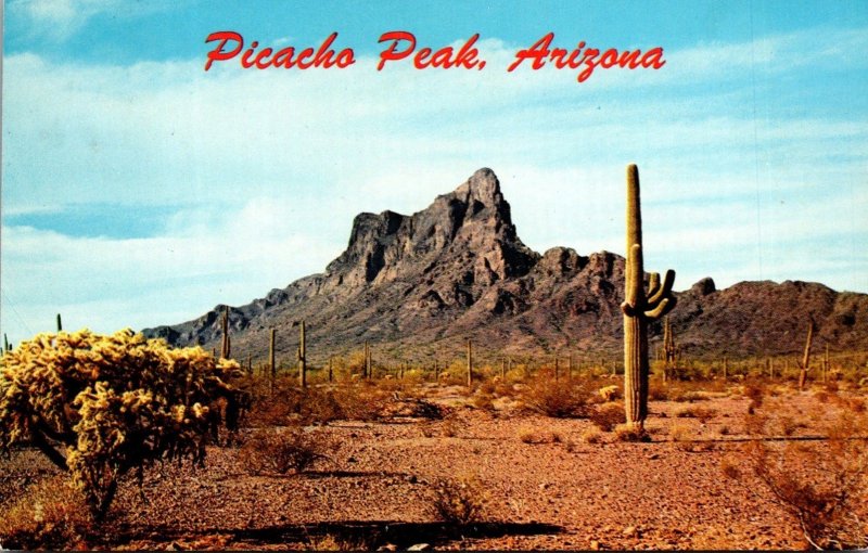 Arizona Picacho Peak Giant Saguaro Cactus 1969