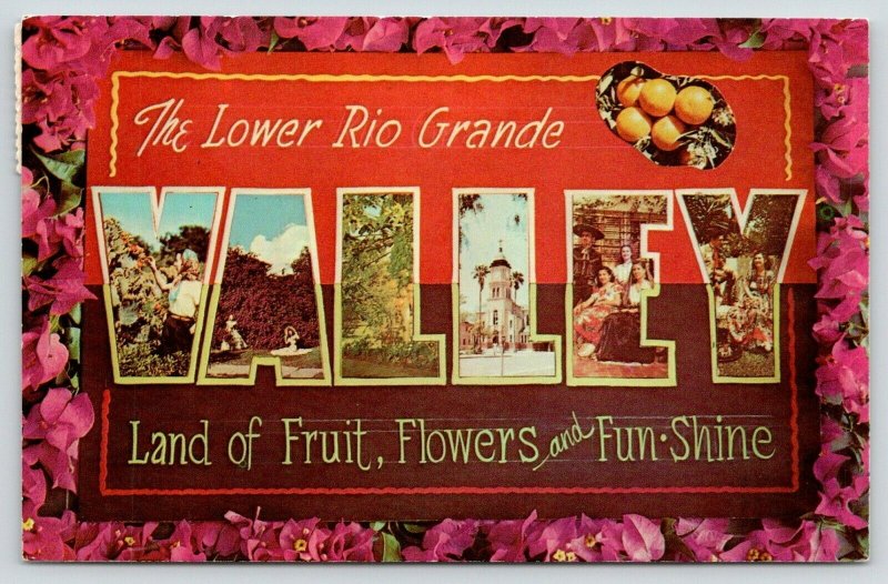 Rio Grande Valley Texas~Large Letter CHROME Postcard~Pink Flowers~Oranges~1960s