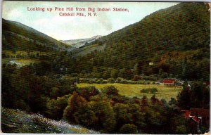 Postcard MOUNTAIN SCENE Catskill Mountains New York NY AL2413