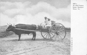 OXEN CARRIAGE NEWPORT NEWS VIRGINIA BLACK AMERICANA POSTCARD (c. 1905)