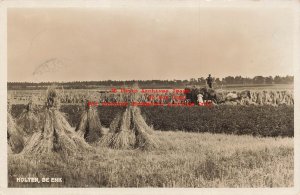 Netherlands, Holten, RPPC, Farming Scene, Farmer Cutting Hay, Photo