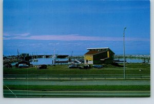 Marina de Rimouski, Quebec, Chrome Postcard