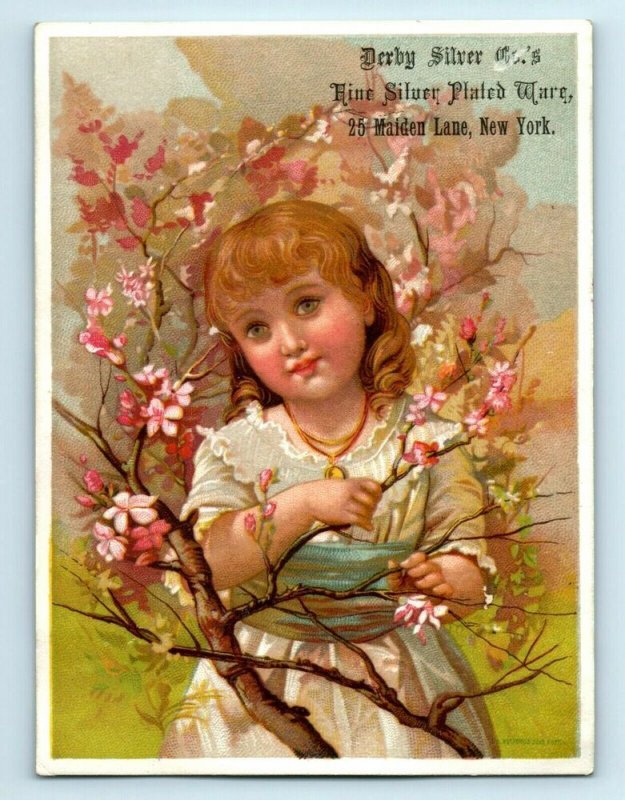 1880's The Derby Silver Co. Holiday & Wedding Presents Silver Plated Ware A 7F