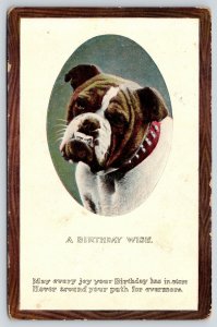 Bulldog Portrait~Serious Underbite~Red Stud Dog Collar~Circle Embossed~1909