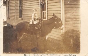 Child on Donkey Donkey 1912 writing on front, real photo