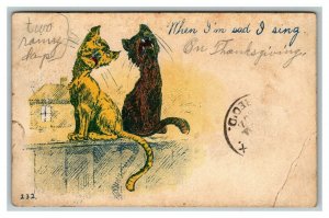 Vintage 1907 Comic Postcard Two Cats Singing on Fence