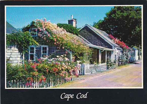 Typical Rose Covered Cottage On Cape Cod Massachusetts